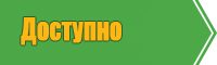 Лонгслив с надписью