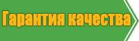 Стильный летний комбинезон женский