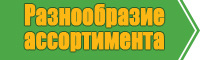 Плюшевые штанишки