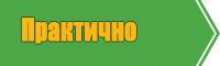 Лонгслив детский для девочки