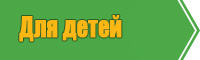 Толстовки